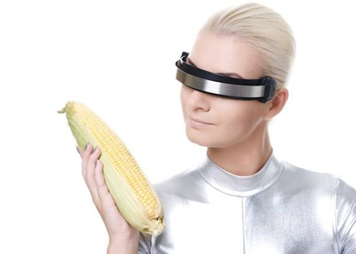 Logo and Brand Kit project