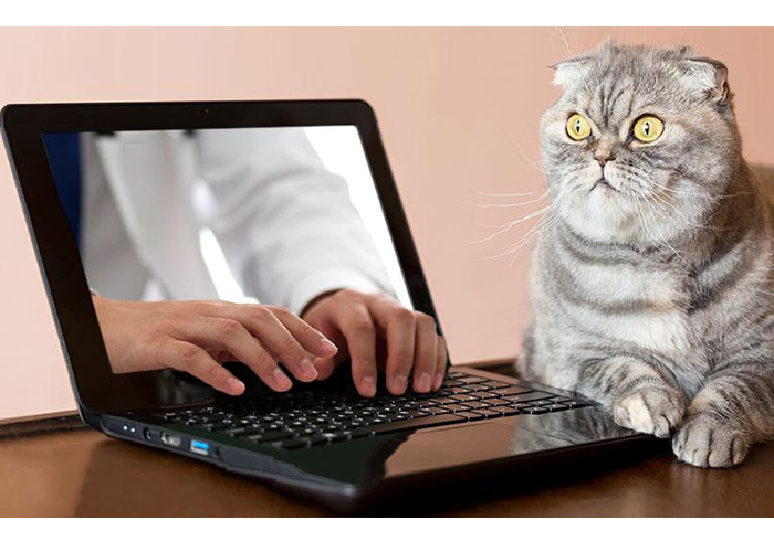 Event Poster project